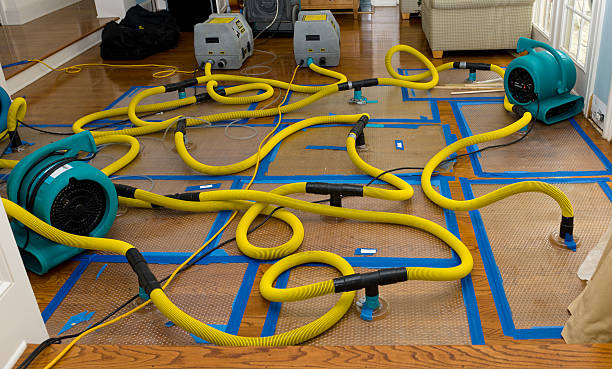Professional Water Damage Restoration technician working in Ellenton, FL